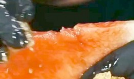 海外吃瓜网红,揭秘娱乐圈背后的秘密与真相