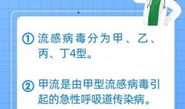 甲流最新情况爆料,全球防控形势与病例分析概览